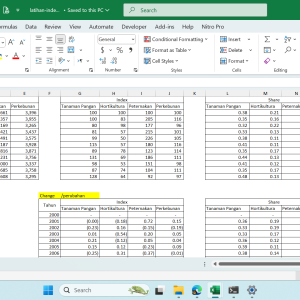 Index Total Factor Productivity Intertemporal